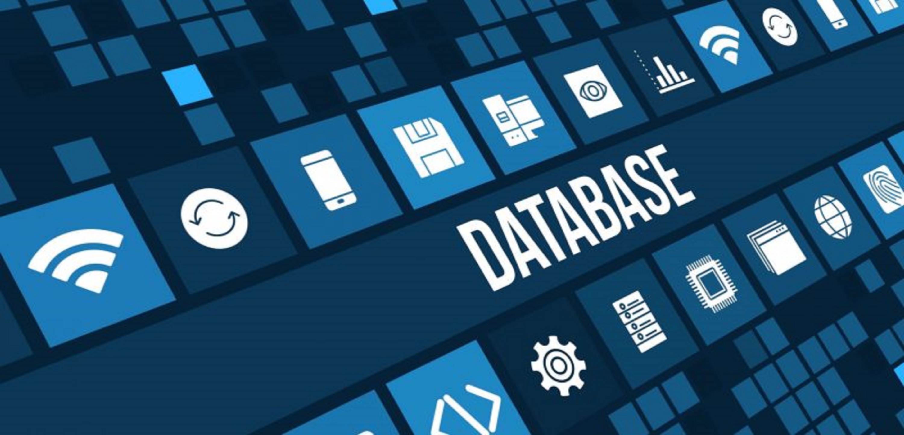 imagen Base de Datos